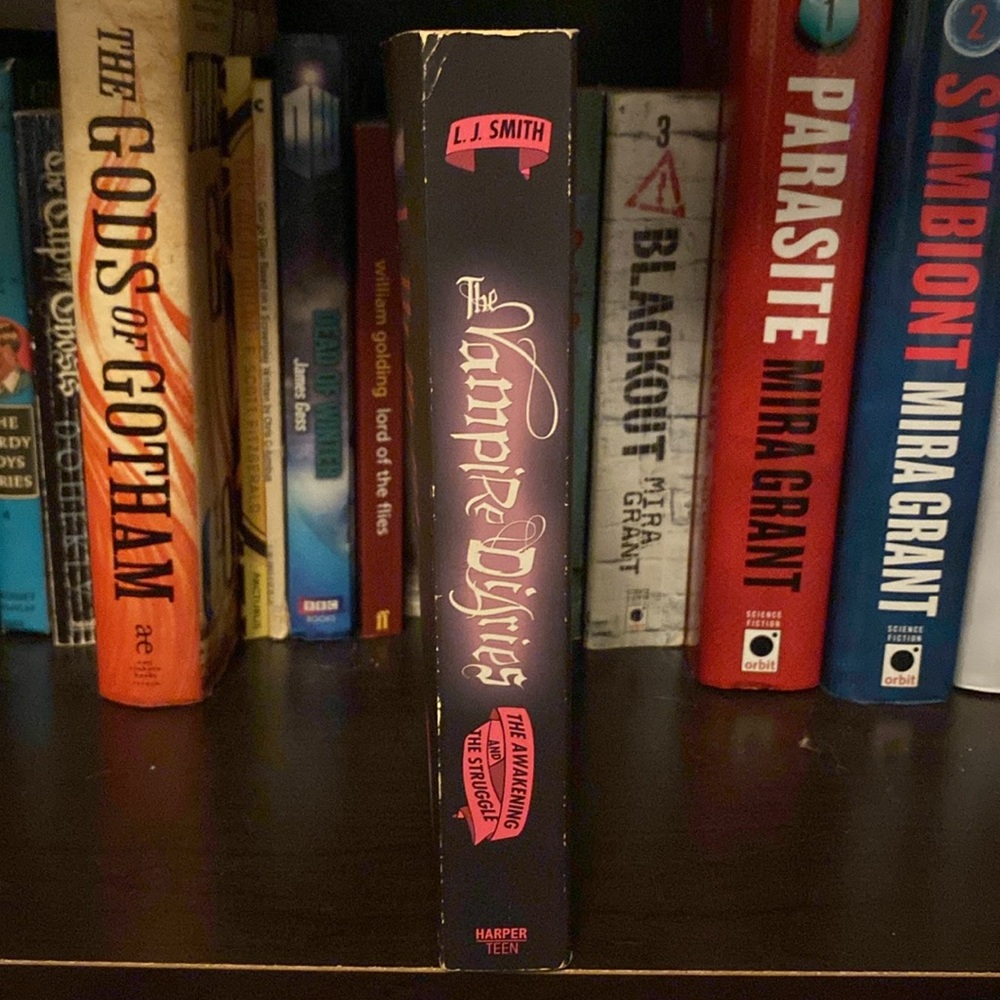 The Vampire Diaries Double Edition: The Awakening&The Struggle (#1&2)by LJ Smith - Picture 3 of 3